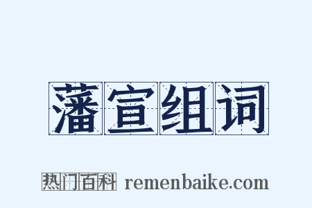 藩宣组词是什么意思的图片